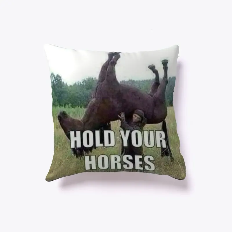 Funny pillow 